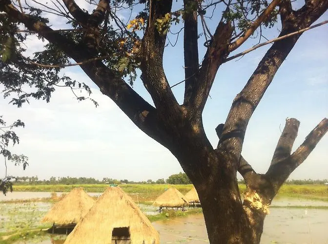 Chamkachuk Kwatera prywatna *